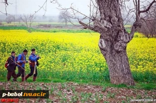 فرا رسیدن نوروز باستانی ، یادآور شکوه ایران بر همه ایرانیان پاک پندار ، راست گفتار و نیک کردار خجسته باد . 3