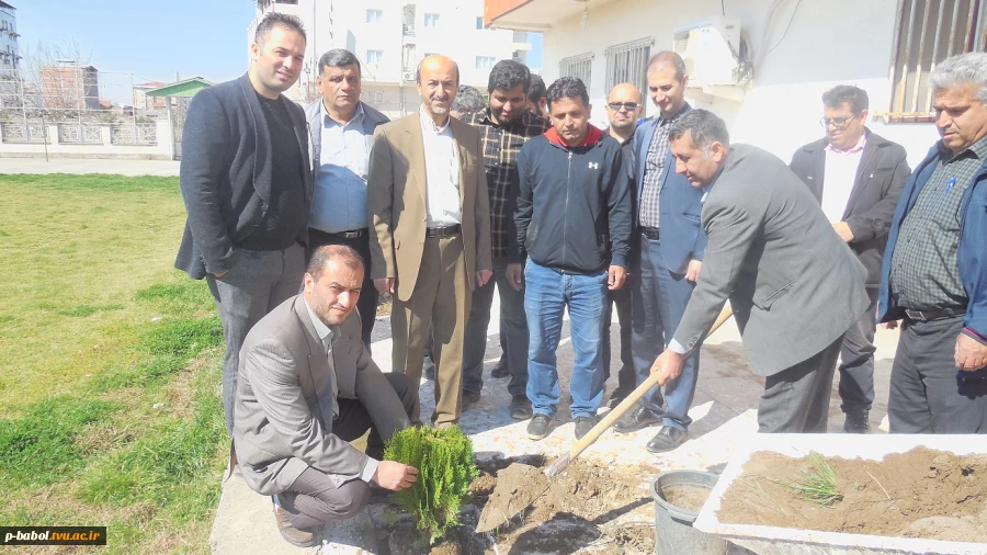 کاشت نهال در محوطه خوابگاه دانشجویی به مناسبت روز درختکاری 8