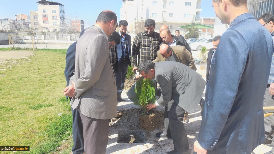 کاشت نهال در محوطه خوابگاه دانشجویی به مناسبت روز درختکاری 7