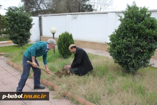 درختکاری در هفته منابع طبیعی توسط همکاران 7